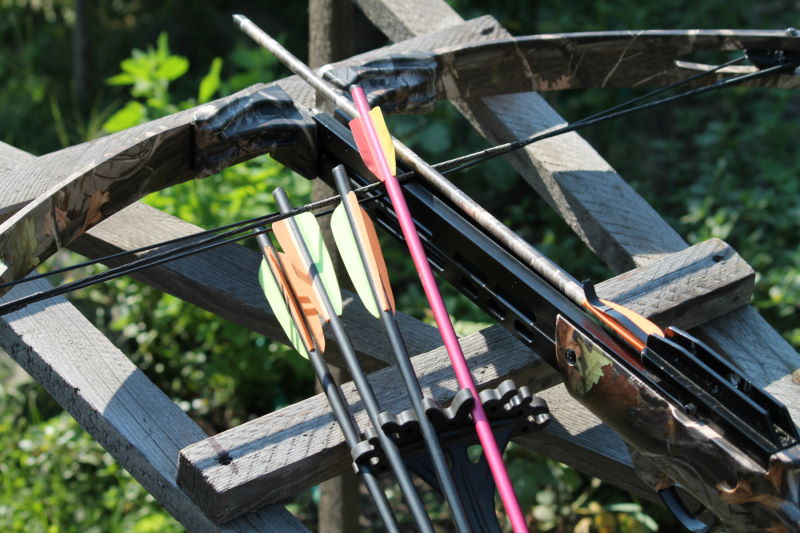 Compound or Recurve Bow? Pros and Cons to Help You Decide