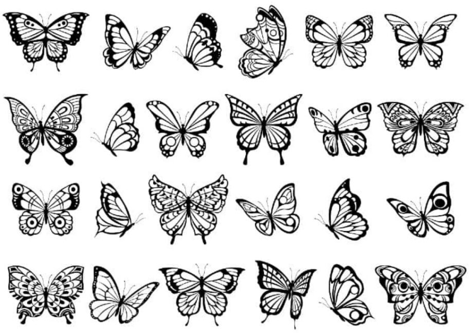 How to draw a beautiful butterfly
