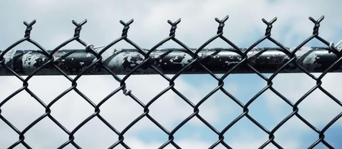 Wire Fences