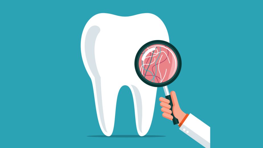 What to Expect From Your Dental Insurance and How to Find the Best Plan