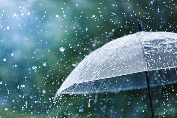 Guide to Purchasing a Rain Shower Head￼