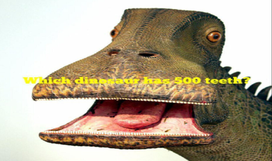 Which dinosaur has 500 teeth