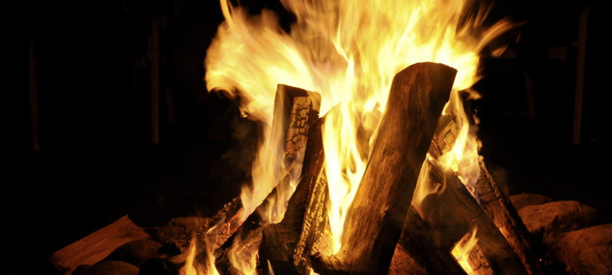 The Advantages and Disadvantages of Wood Fuel